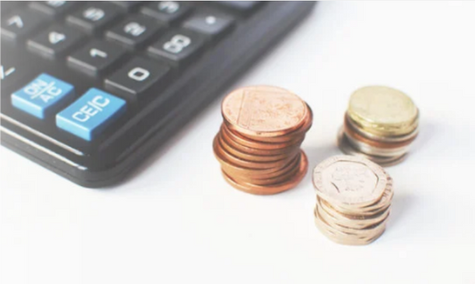 Choosing The Best Security Cameras On a Budget